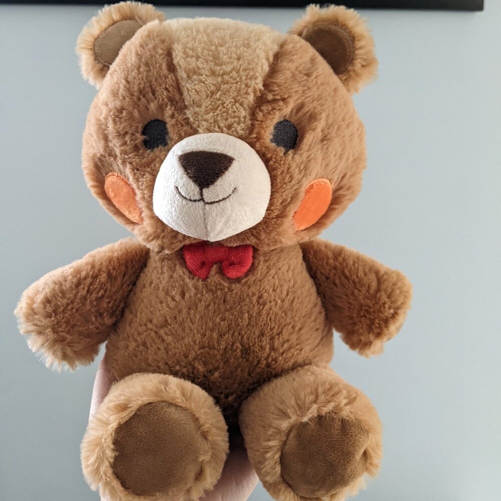 F.A.O. Schwartz Official Teddy Bear Plush (no tags)